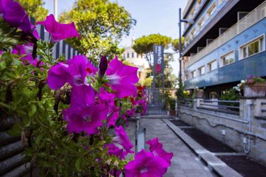 Bv Oly Hotel  Rome: Photo 