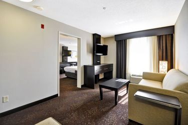 Hotel Holiday Inn Express Romulus / Detroit Airport:  ROMULUS (MI)