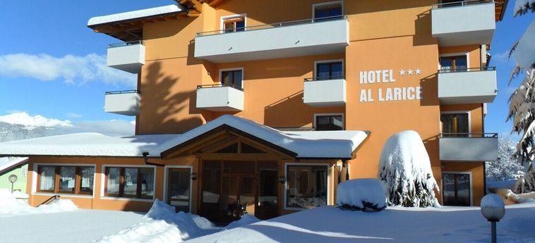 Hotel E Appartamenti Al Larice Ronzone - Trento : Photo 