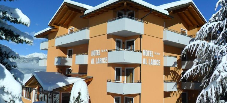 Hotel E Appartamenti Al Larice Ronzone - Trento : Photo 