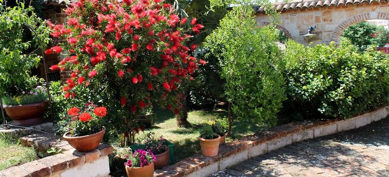 Hotel Villa Pasis Rovigno - Istria: Foto 