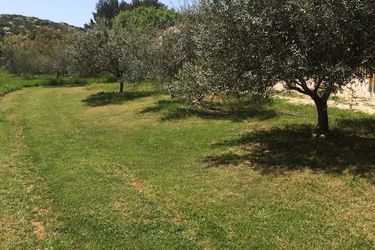Hotel Il Giardino Degli Ulivi Rovinj - Istra: Photo 