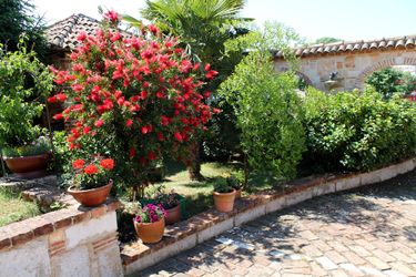 Hotel Villa Pasis Rovinj - Istra: Photo 
