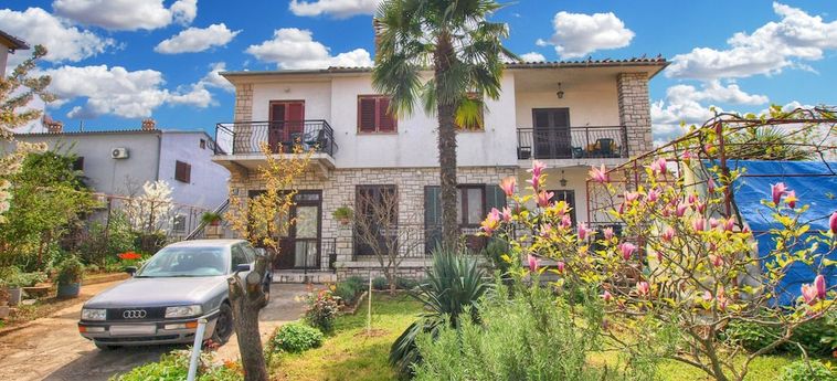 Apartment Ana 1068 Rovinj - Istrie : Photo 