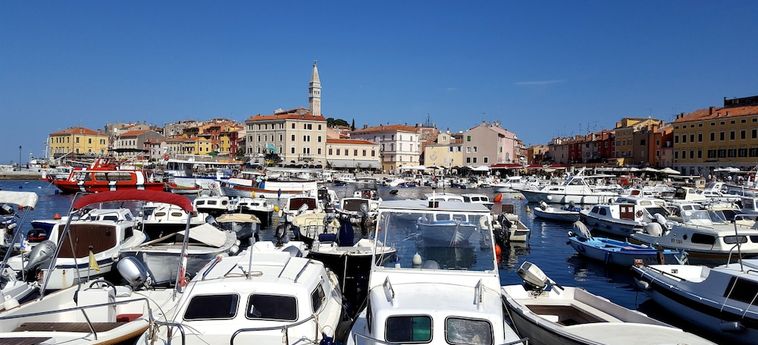 House Vanda Rovinj - Istrie : Photo 