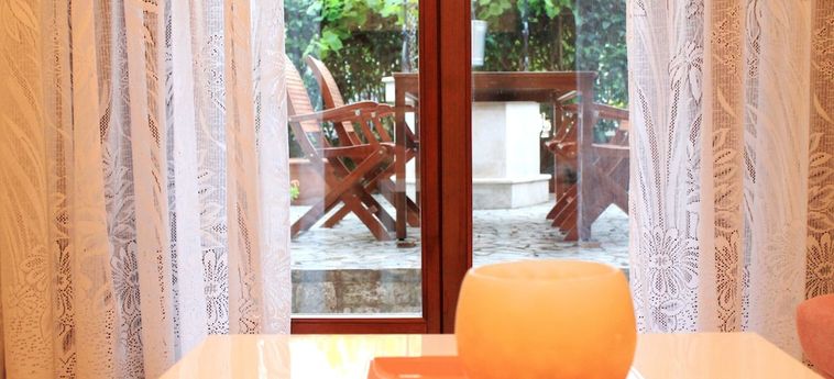 House Vanda Rovinj - Istrie : Photo 