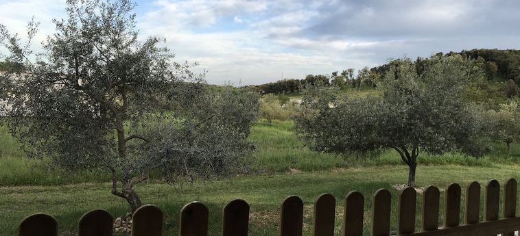 Hotel Il Giardino Degli Ulivi Rovinj - Istrien: Foto 