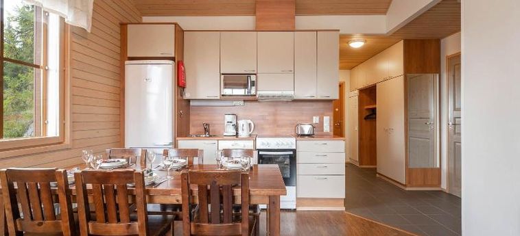 Hotel Ski-Inn Aurinkorinne Ruka : Photo 