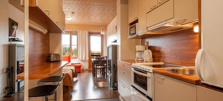 Hotel Ski-Inn Aurinkorinne Ruka : Photo 