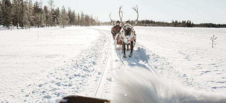 Lapland Hotel Riekonlinna Saariselka : Photo 