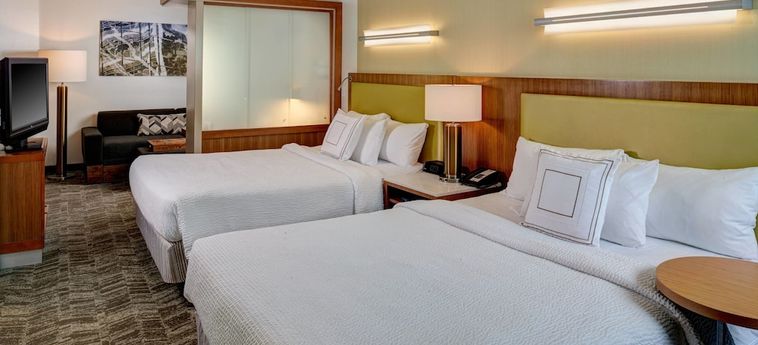 Hotel Springhill Suites By Marriott Saginaw:  SAGINAW (MI)