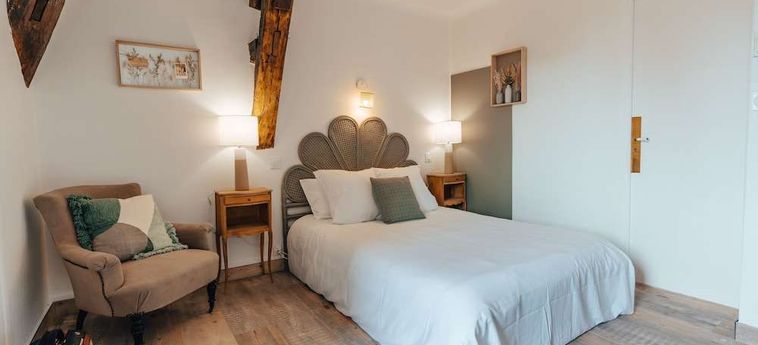 Hotel L'abbaye Saint Cyprien: Foto 