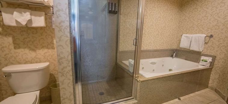 Hotel Best Western Plus Abbey Inn Saint George (Ut): Foto 