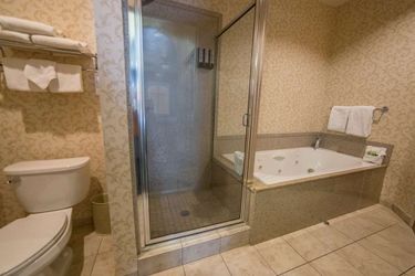 Hotel Best Western Plus Abbey Inn:  SAINT GEORGE (UT)