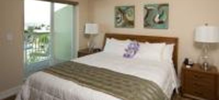 Hotel Crystal Palms Beach Resort:  SAINT PETERSBURG (FL)