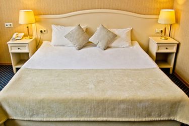 Hotel Aston:  SAINT PETERSBURG
