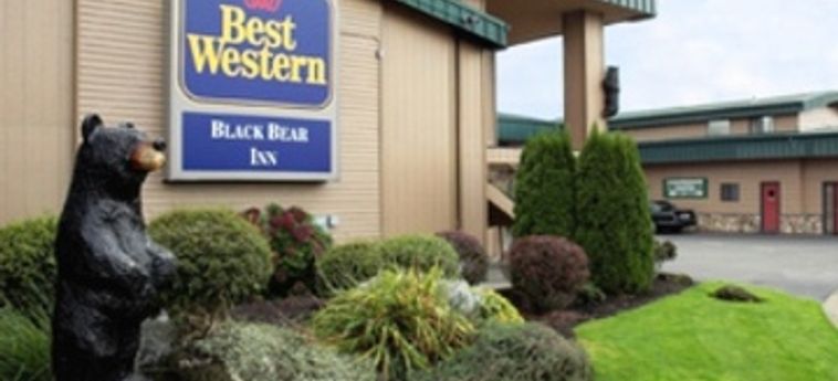 Hotel BEST WESTERN BLACK BEAR INN