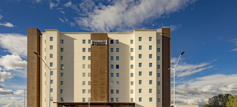 Hotel Staybridge Suites Saltillo Saltillo: Photo 