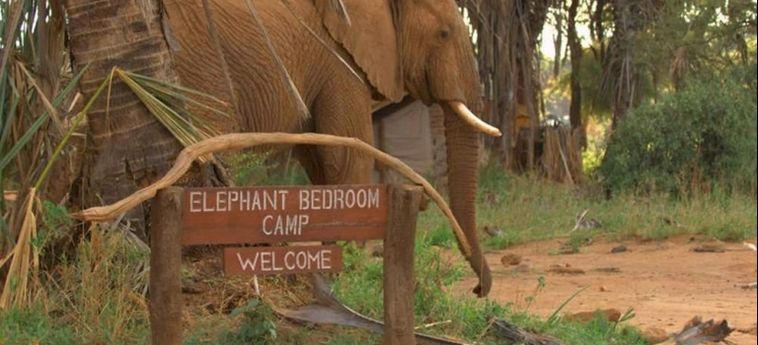Hotel Elephant Bedroom Camp:  SAMBURU NTL PARK