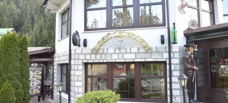 Hotel Alpin:  SAMOKOV