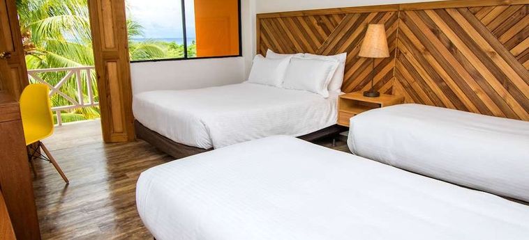 Hotel Sol Caribe Campo San Andres Island: Foto 