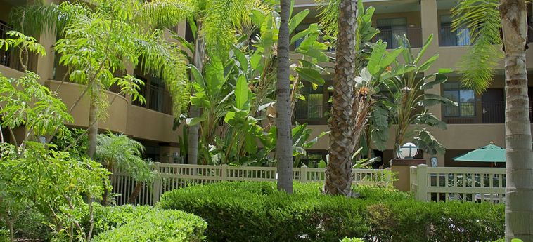 Hotel Quality Suites Mission Valley Seaworld Area:  SAN DIEGO (CA)