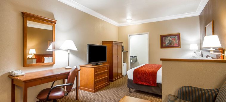 Hotel Comfort Inn & Suites San Francisco Airport North:  SAN FRANCISCO (CA)