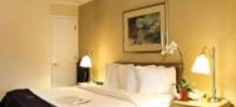 Hotel Millwood Inn & Suites:  SAN FRANCISCO (CA)