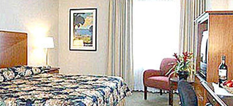 Holiday Inn Express Hotel & Suites San Francisco Fishermans Wharf:  SAN FRANCISCO (CA)