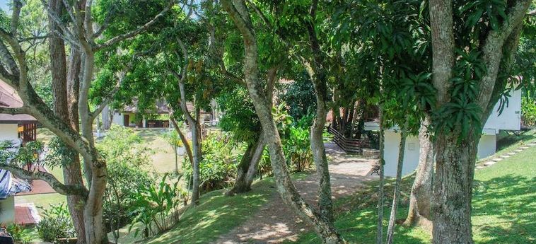 La Selva Hotel San Jeronimo San Jeronimo: Foto 