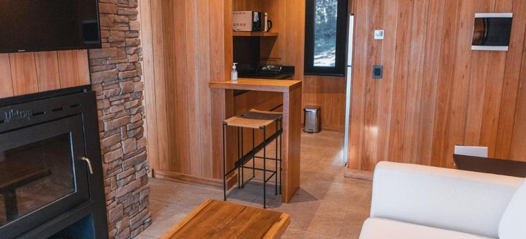 Hotel El Refugio Ski &Amp; Summer Lodge 1484 San Martin De Los Andes: Foto 