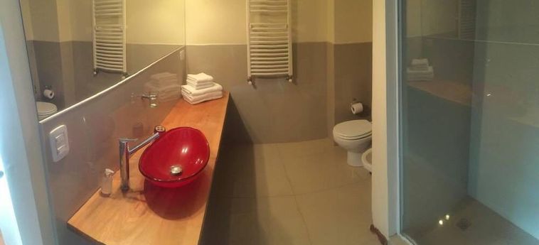 Hotel Abedul Apartamentos San Martin De Los Andes: Foto 