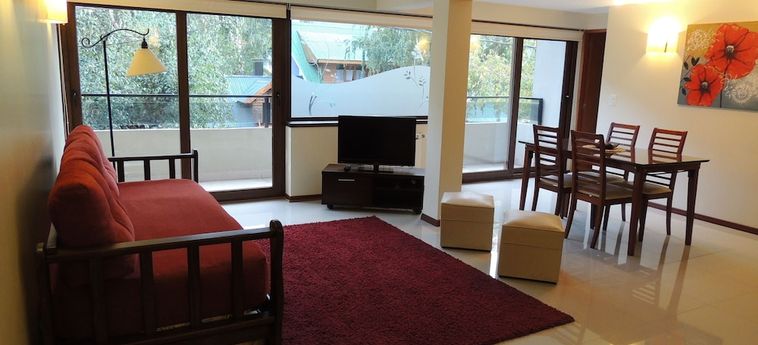 Hotel Abedul Apartamentos San Martin De Los Andes: Foto 