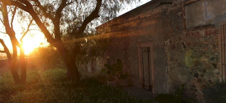 Hotel Living Spirit San Miguel De Allende:  SAN MIGUEL DE ALLENDE