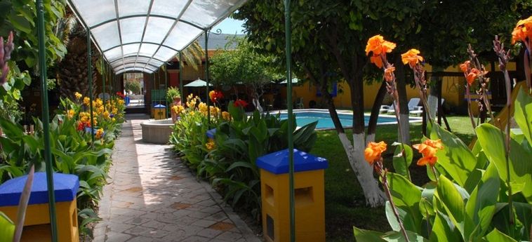 Hotel Y Restaurant Don Cenobio:  SAN PABLO VILLA DE MITLA - OAXACA