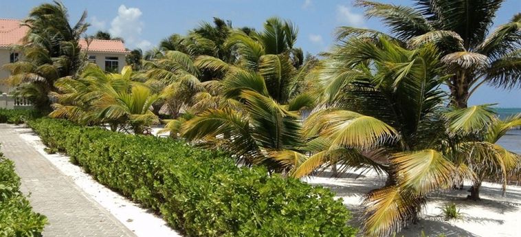 Hotel Royal Caribbean Resort:  SAN PEDRO