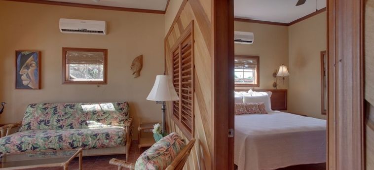 Hotel X'tan Ha - The Waterfront Resort:  SAN PEDRO