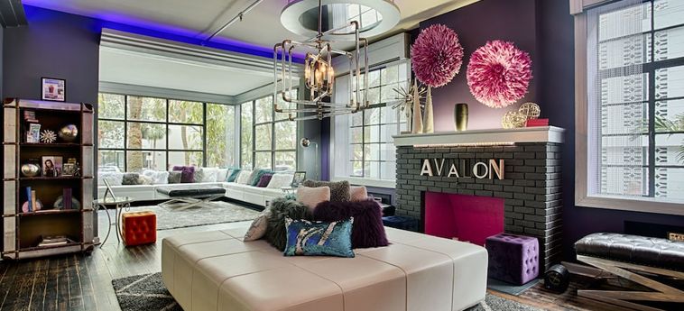 Avalon Hotel Downtown St. Petersburg:  SAN PIETROBURGO (FL)