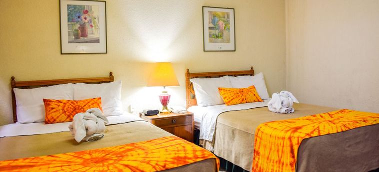 Eco Hotel Mariscal San Salvador : Photo 