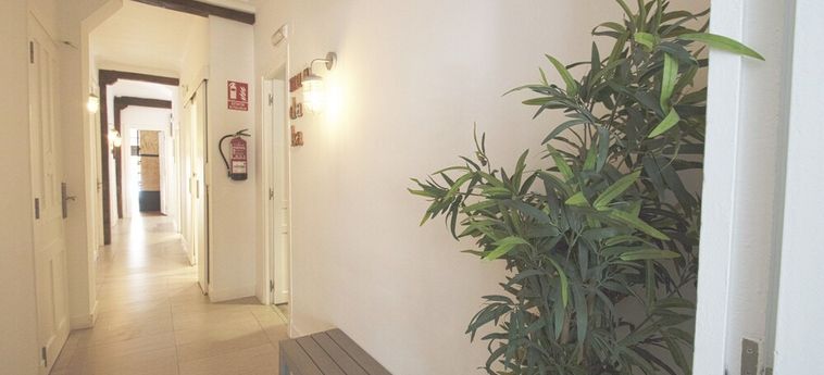Hotel Surfing Etxea San Sebastian: Foto 