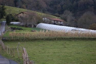 Casa Rural Aristondo San Sebastian: Photo 
