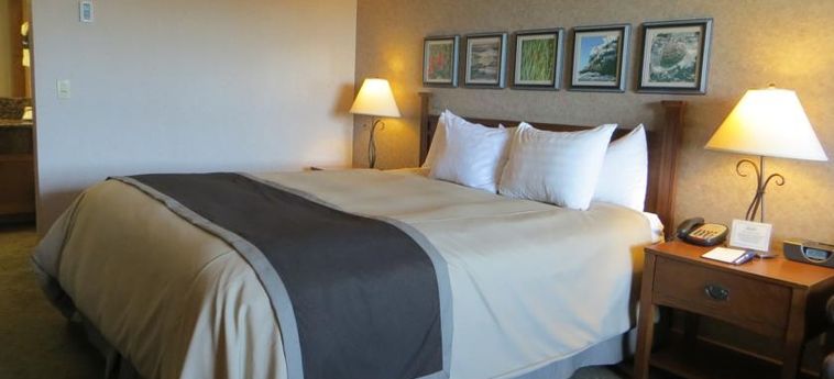 Hotel Cavalier Oceanfront Resort:  SAN SIMEON (CA)
