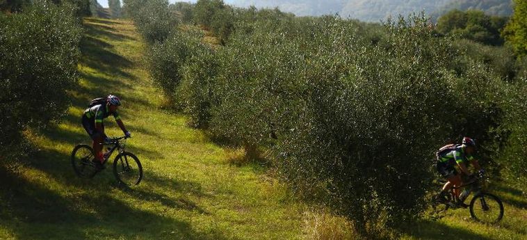 Agriturismo Fattoria Aquilone San Venanzo - Terni : Photo 
