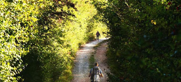 Agriturismo Fattoria Aquilone San Venanzo - Terni : Photo 
