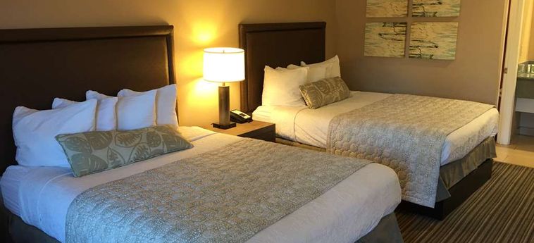 Hotel Best Western Plus Inn Scotts Valley:  SANTA CRUZ (CA)