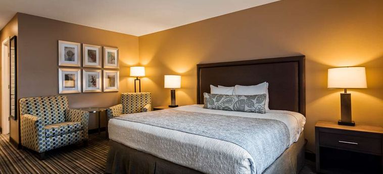 Hotel Best Western Plus Inn Scotts Valley:  SANTA CRUZ (CA)