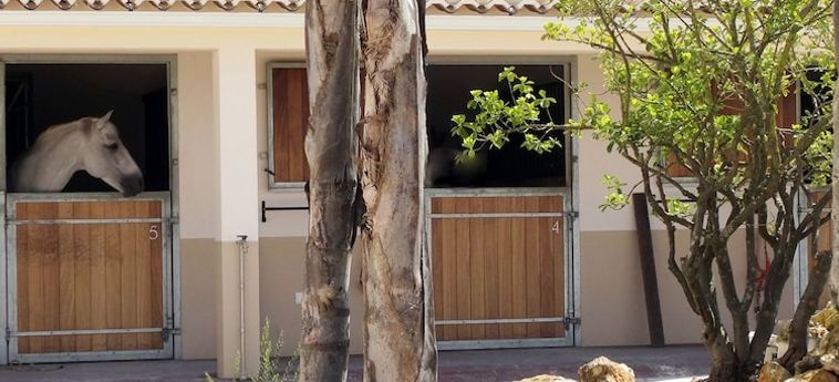Hotel Quinta-M Santarem: Foto 