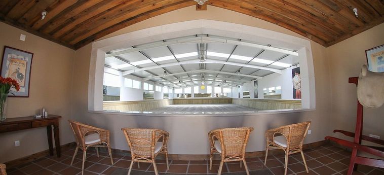 Hotel Quinta-M Santarem: Foto 