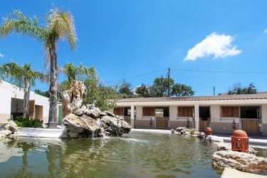 Hotel Quinta-M Santarem: Photo 