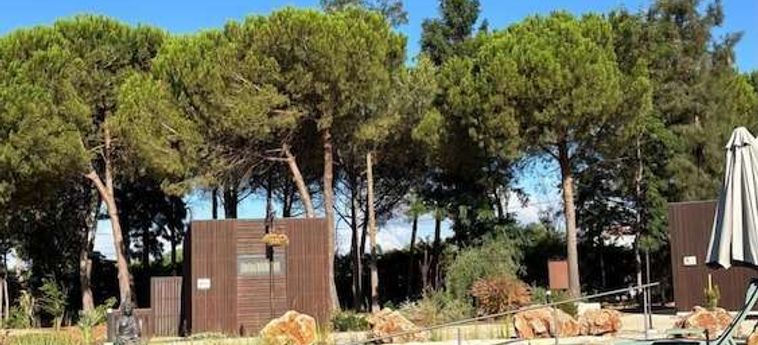Hotel Refúgio Da Quinta Nere Maitia Santarem: Foto 